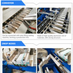 Cartoning Machine